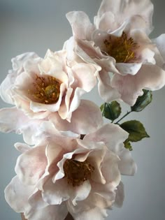 three pink flowers are in a vase on a table