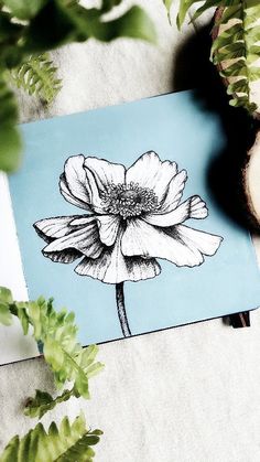 a white flower sitting on top of a blue piece of paper next to green plants