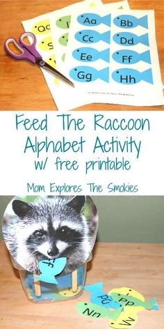 a raccoon alphabet activity with free printables