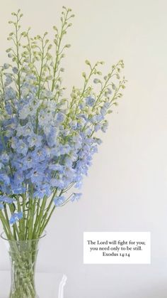 a vase filled with blue flowers on top of a table