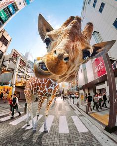 a giraffe is standing in the middle of a city street with people walking around