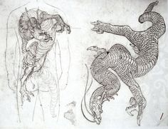 two drawings of different types of snakes