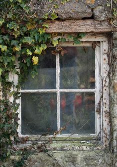 an old window with ivy growing over it