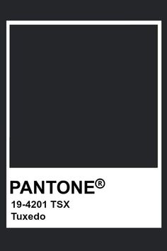 the pantone logo is shown in black and white