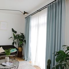 a living room filled with furniture and plants