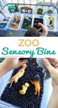 children are playing with food in plastic bins on the table, and text reads zoo sensory bins