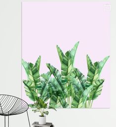 a green plant is in front of a pink wall with a white chair and potted plant