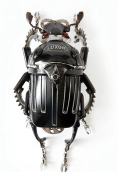 a close up of a bug on a white background with the words motoxo written above it