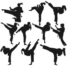 the silhouettes of people doing karate moves