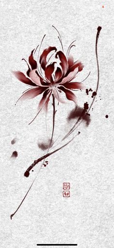 Dr Tattoo, Lycoris Radiata, Lily Wallpaper, Red Spider Lily, Spider Lily, Lily Tattoo, Elegant Tattoos