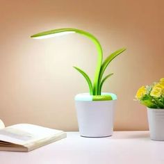 two potted plants are sitting on a desk next to an open book and lamp