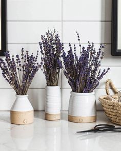 three white vases with lavender flowers in them on a counter next to scissors and a basket