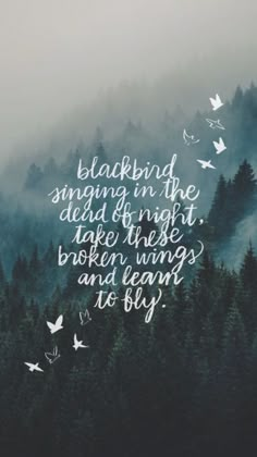 My Lockscreens - The Beatles Beatles Blackbird, Wallpaper Iphone Quotes Songs, Quotes Wallpaper Iphone, Movies Wallpaper, Wallpaper Iphone Quotes Backgrounds, Beatles Wallpaper, Pinterest Cute, Iphone Background Quote, Wall Paper Iphone