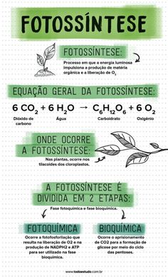 an info sheet describing the different types of plants and their names in spanish, english or french