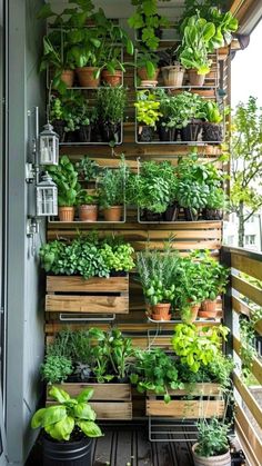 a vertical garden on the side of a building with potted plants and other greenery