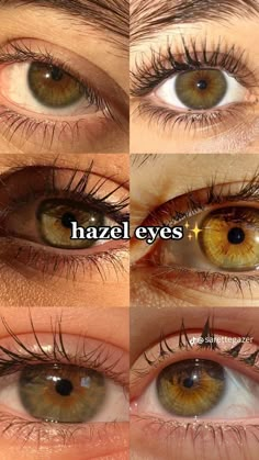 Hunter Eyes, Versace Blouse, Pretty Eyes Color, Eyes Hazel, Rare Eye Colors, Hazel Green Eyes, Eye Color Chart, Rare Eyes, Beautiful Eyes Color