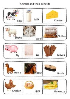 an animal and their benefits worksheet for kids to learn how to use it