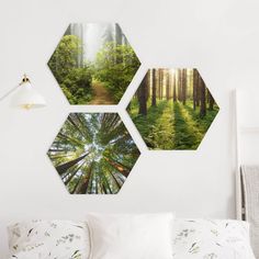 three hexagons hanging on the wall above a bed