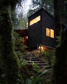 a cabin in the woods with stairs leading up to it's windows at night