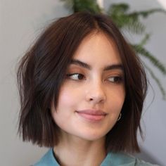 Framed Bob Haircut, Choppy Bob Hairstyles Straight Hair, Chin Length Hair With Face Framing, Short Bob Hairstyles Thick Wavy Hair, Frame Bangs Short Hair, French Bob For Straight Hair, Bob Haircuts With Face Framing, Bob With Framed Face, Short Chin Length Hair Straight