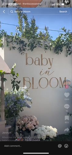 a sign that says baby in bloom on the side of a building next to flowers