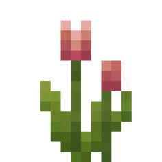 an image of a pixelated cactus with flowers on it's back end and the top part of its head visible