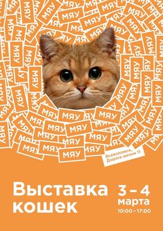 an orange and white poster with a cat's face in the center, surrounded by words