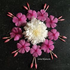 pink and white flowers arranged in a circle