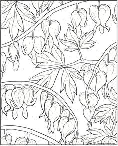 a coloring page with flowers and leaves on the tree branch, in black and white