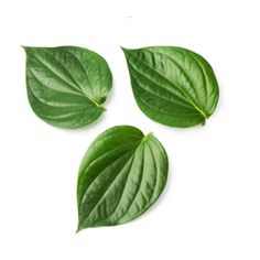 three green leaves on a white background