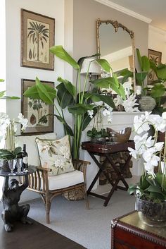 a living room filled with lots of plants and furniture