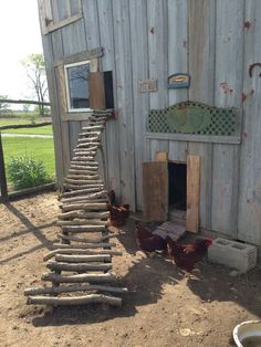 some chickens are standing in front of a building with a ladder leading to the door