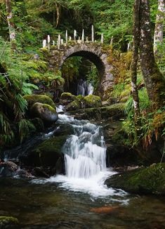 a stream running through a lush green forest filled with lots of trees and rocks next to a stone bridge