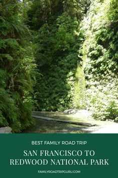 the san francisco redwood national park with text overlay that reads best family road trip