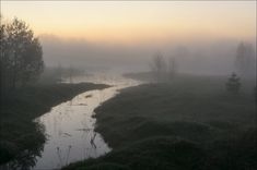 a river running through a lush green field under a foggy sky with trees in the foreground