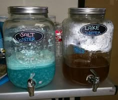 two large jars filled with blue and brown liquid sitting on top of a metal shelf