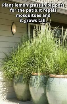 three large planters with grass in them on the side of a house