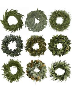 a collection of wreaths with different shapes and sizes