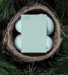 three eggs in a nest on top of a pine tree with a blue card next to it