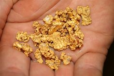 gold nuggets are being held in someone's hand