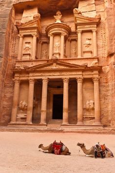 two camels sitting in front of an ancient building