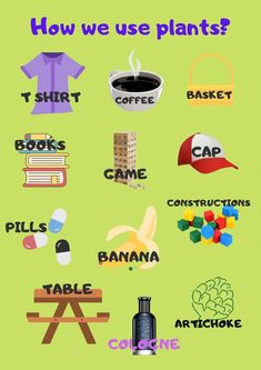 a poster with different types of items on it and the words how we use plants