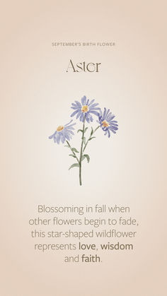 a flower with the words aster on it and an image of two daisies