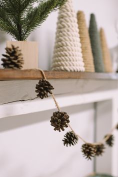 some pine cones are hanging from a shelf