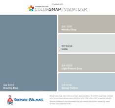 the color scheme for colorsnap visualizer is shown in blue, gray and white