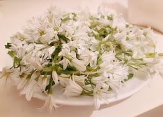 white flowers on a plate sitting on a table