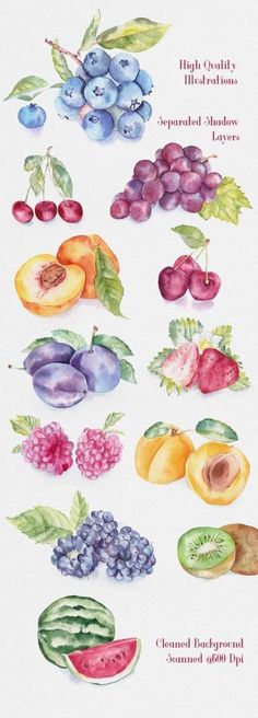 a watercolor drawing of fruits and vegetables with the words, fruit salads separated into groups