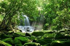 a waterfall surrounded by green rocks and trees