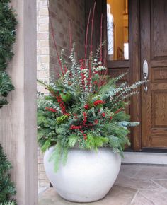 a potted plant with red berries and greenery in front of a brick building