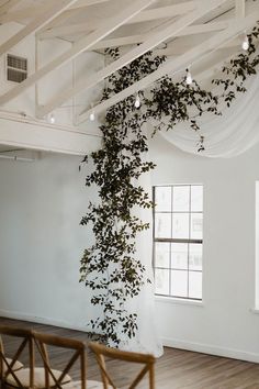 an empty room with white drapes and greenery hanging from the ceiling, along with wooden chairs